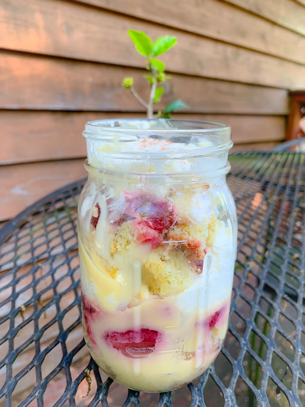 A Mini Strawberries & Cream Trifle