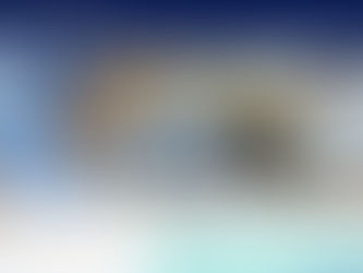 GST Login - How to Login to Government GST Portal India