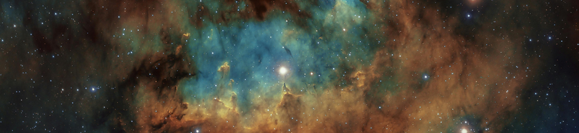 Copy of FINAL BIGGER of Testimonials with Images (4800 x 1745 px) (55 x 19.995 in) (75 x 2