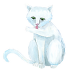 Untitled design (61).png