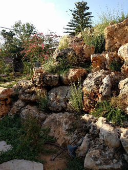 15.01.04-IMG_20170504_17562347