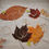 Miniature : LEAF// Anneaux de feuilles martelées