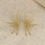 Miniature : AURA// Sunburst Studs