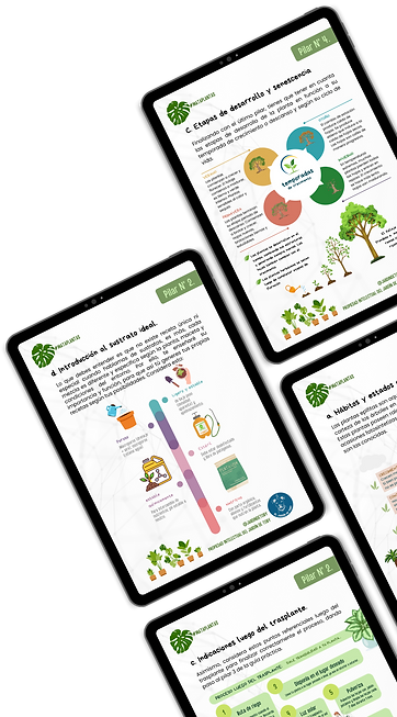 VIDEOS DE VENTA (5).png