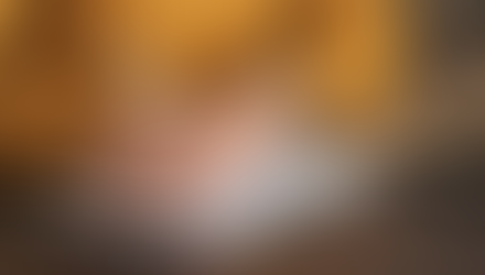 Como escrever um projeto de lei do zero