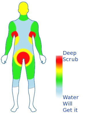How Do You Shower?