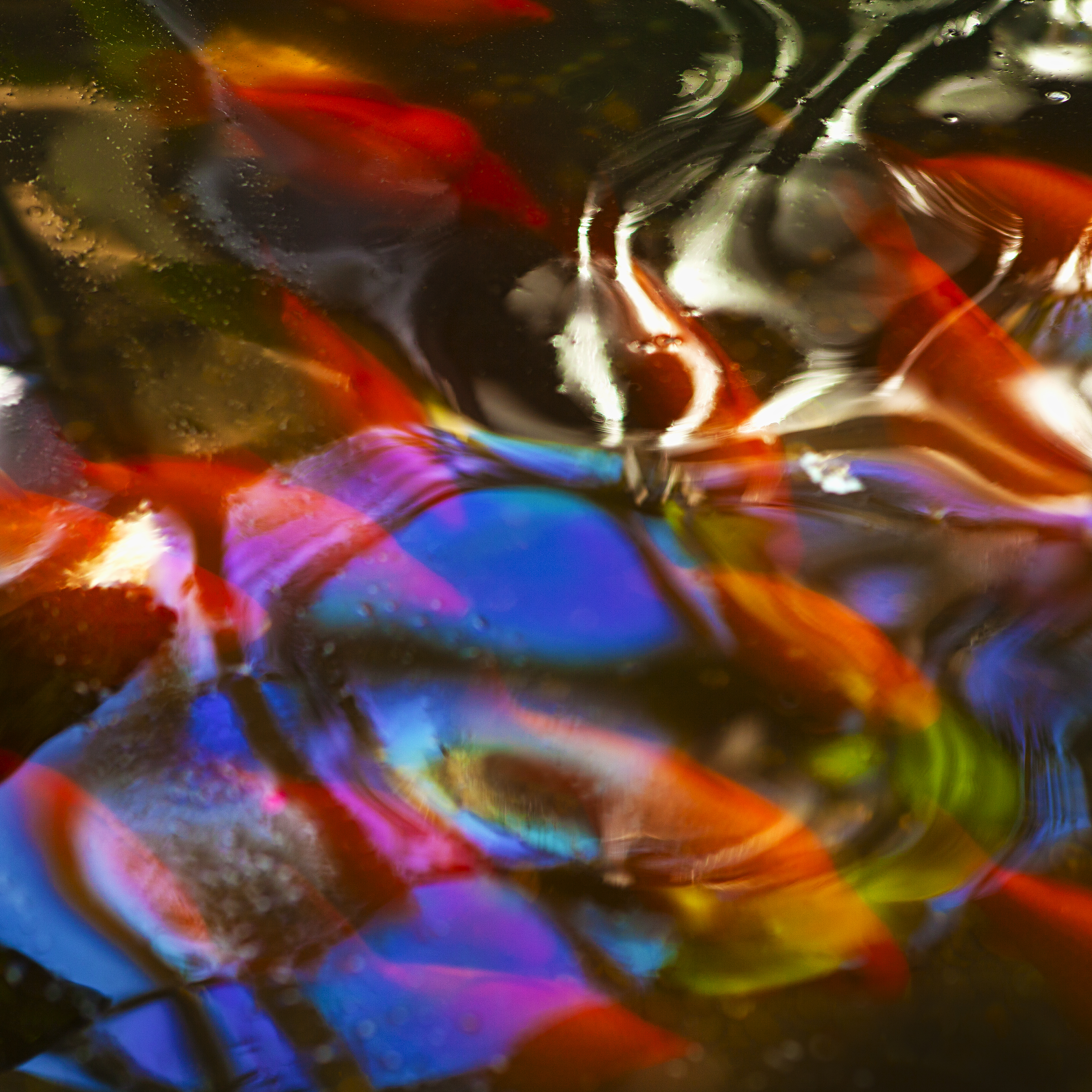 Reflections Refractions