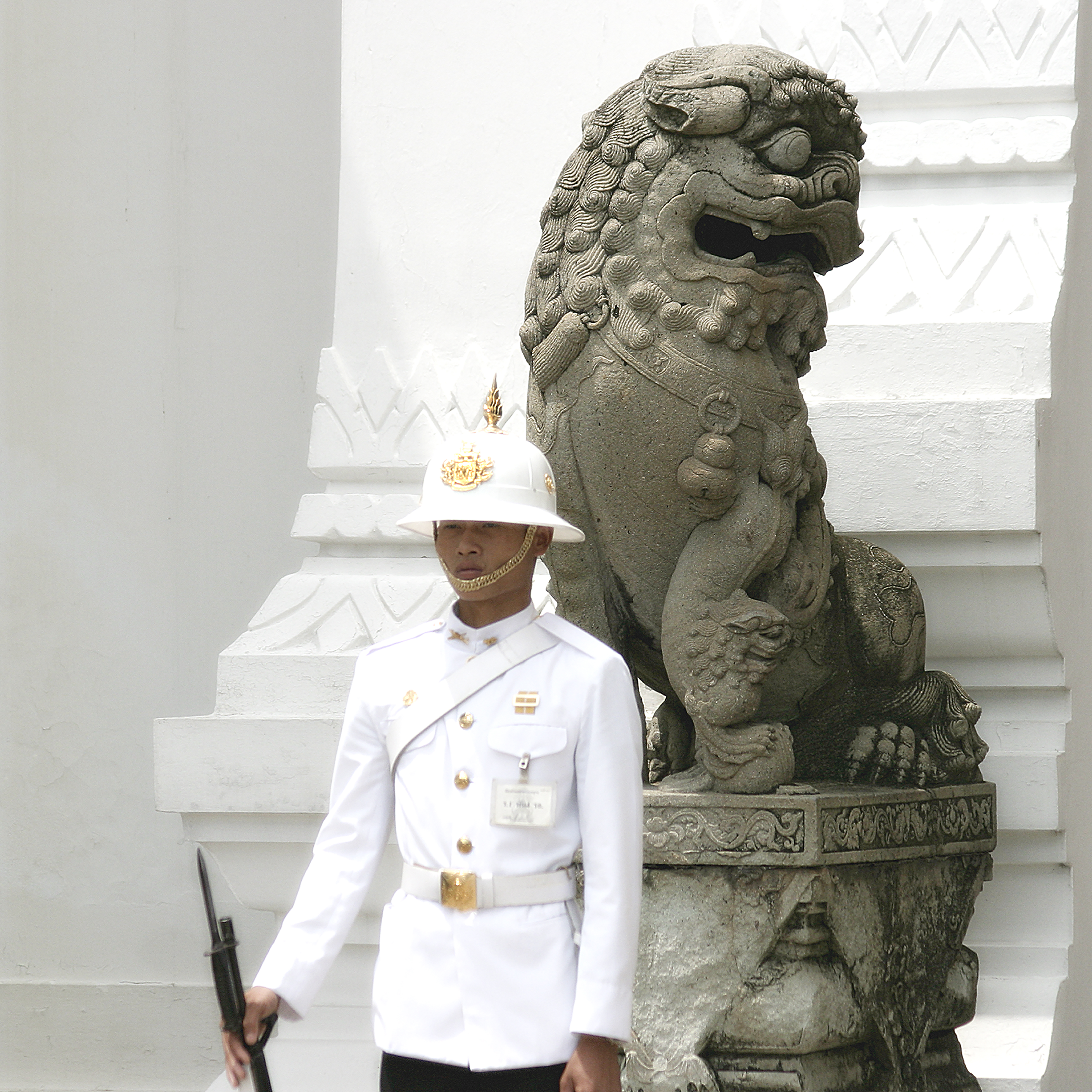 Lions
