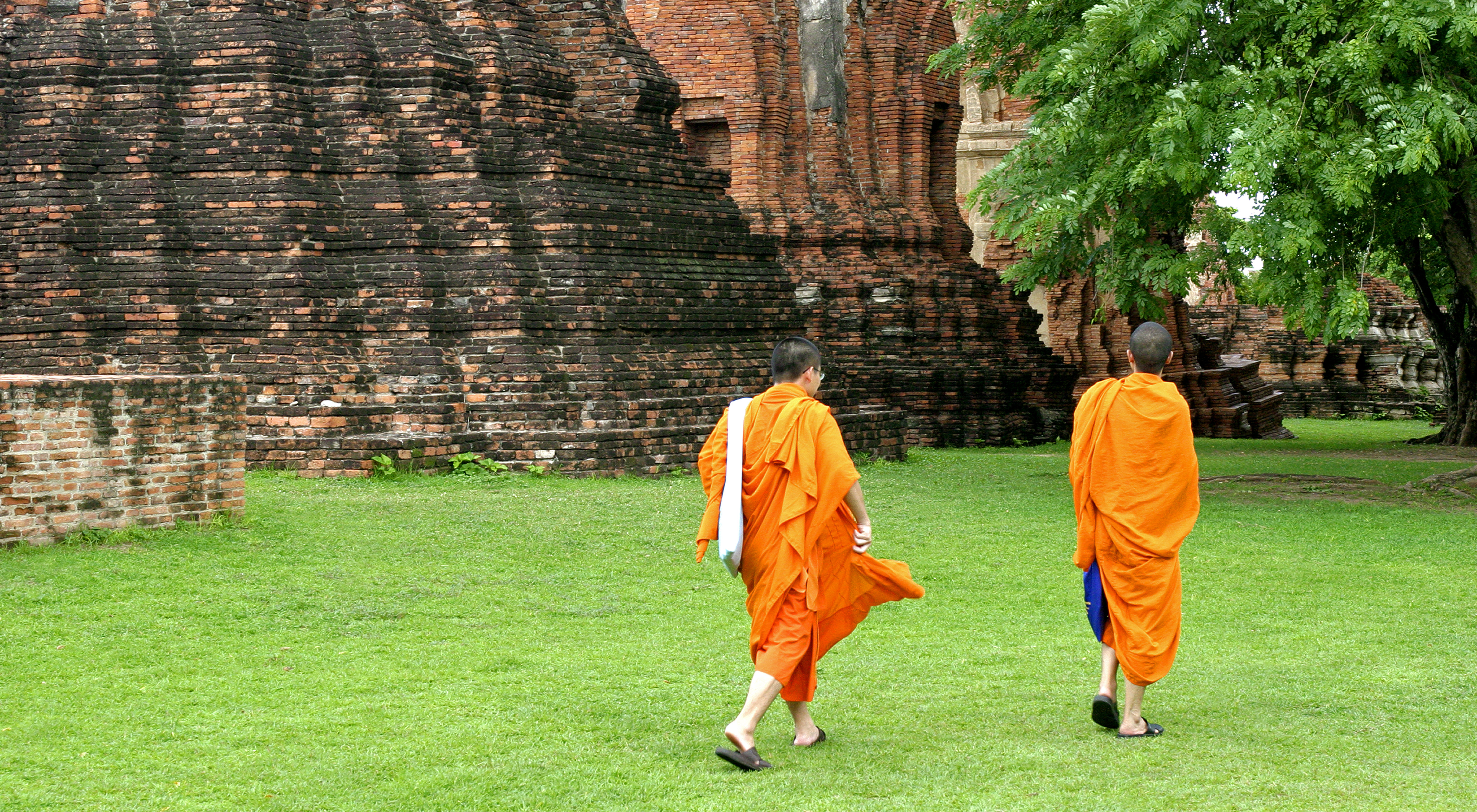 Dedicated Paths