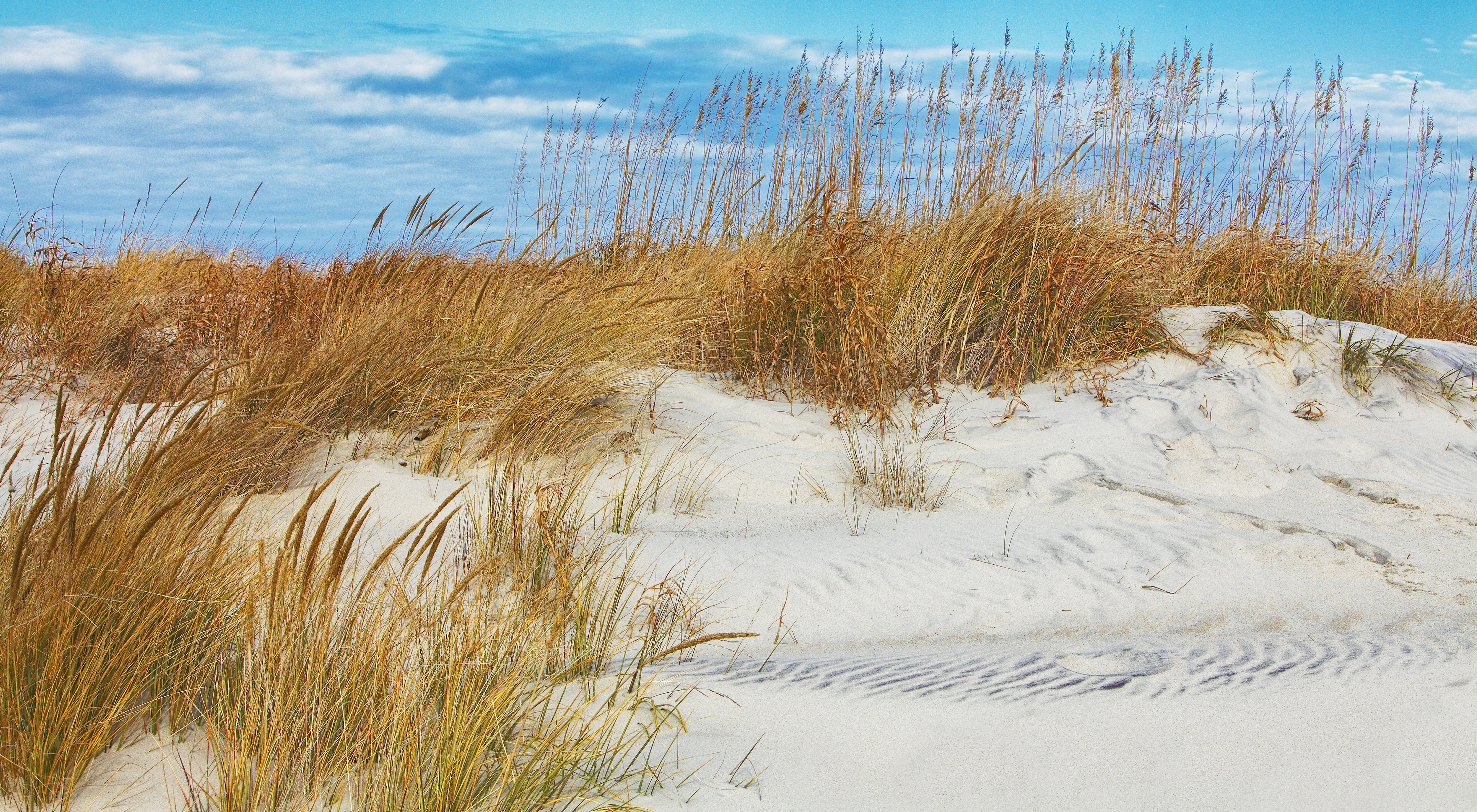 Winter Dunes