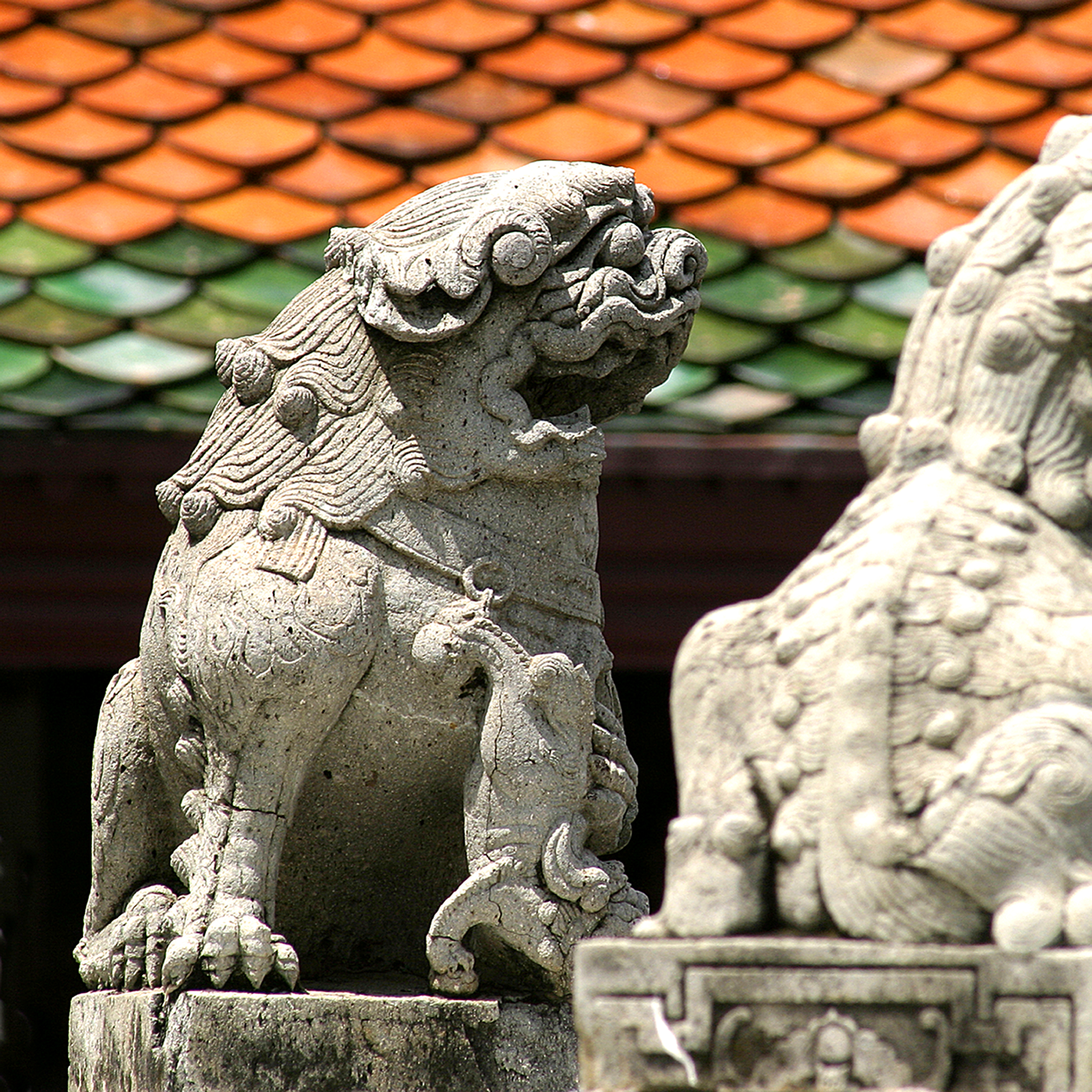 Still Guarding