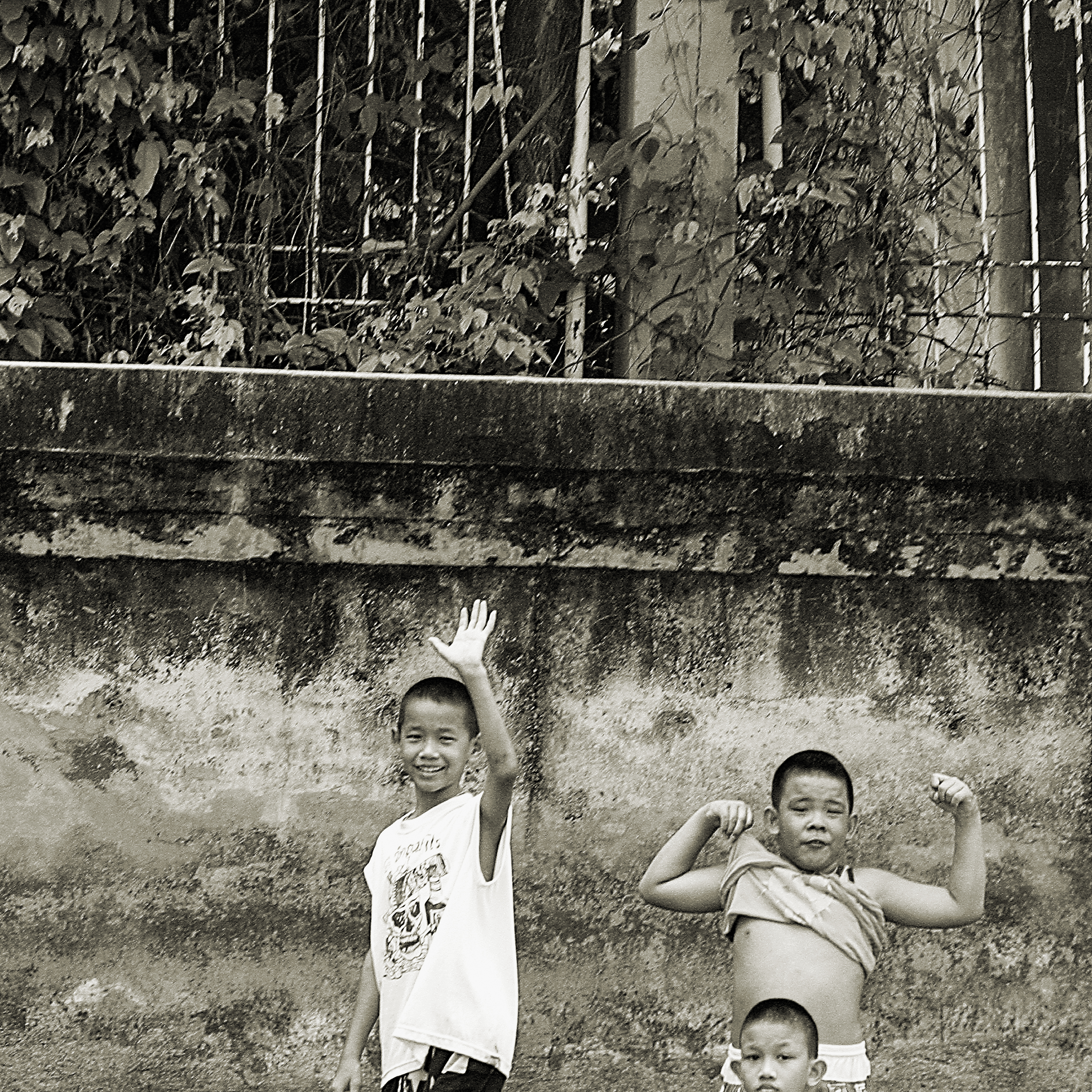 Young Six-Pack
