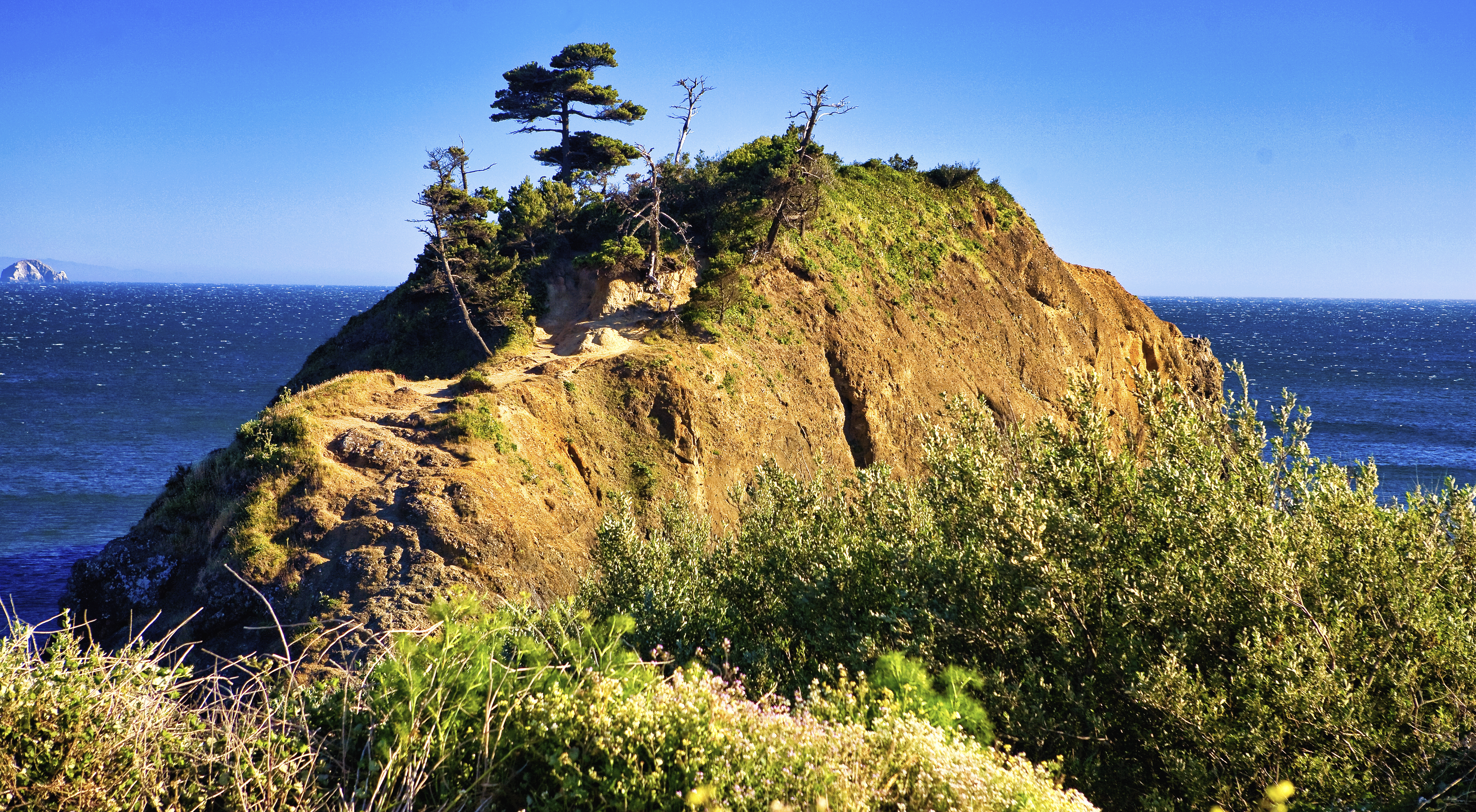 Coast Bump