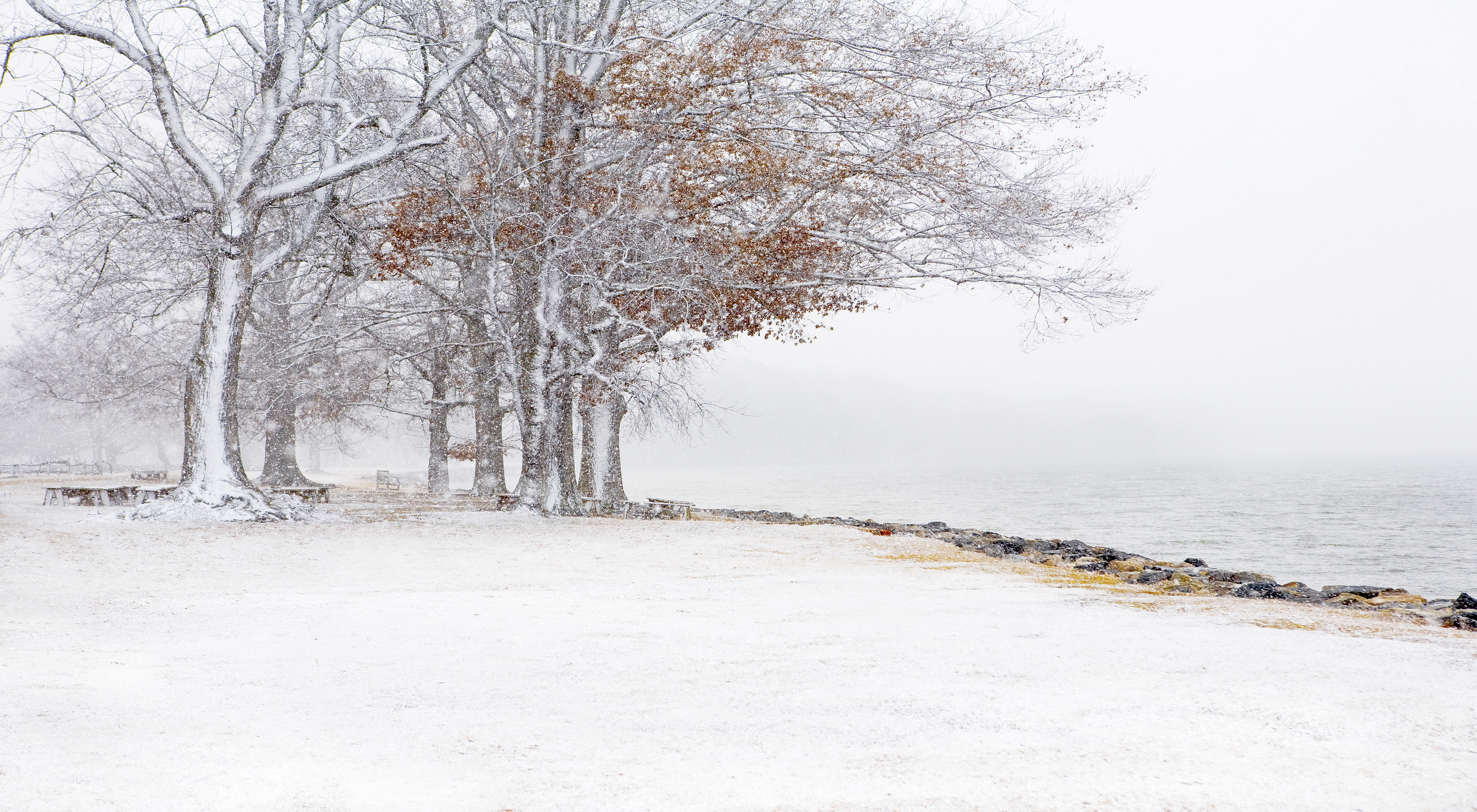 Flying Flurries