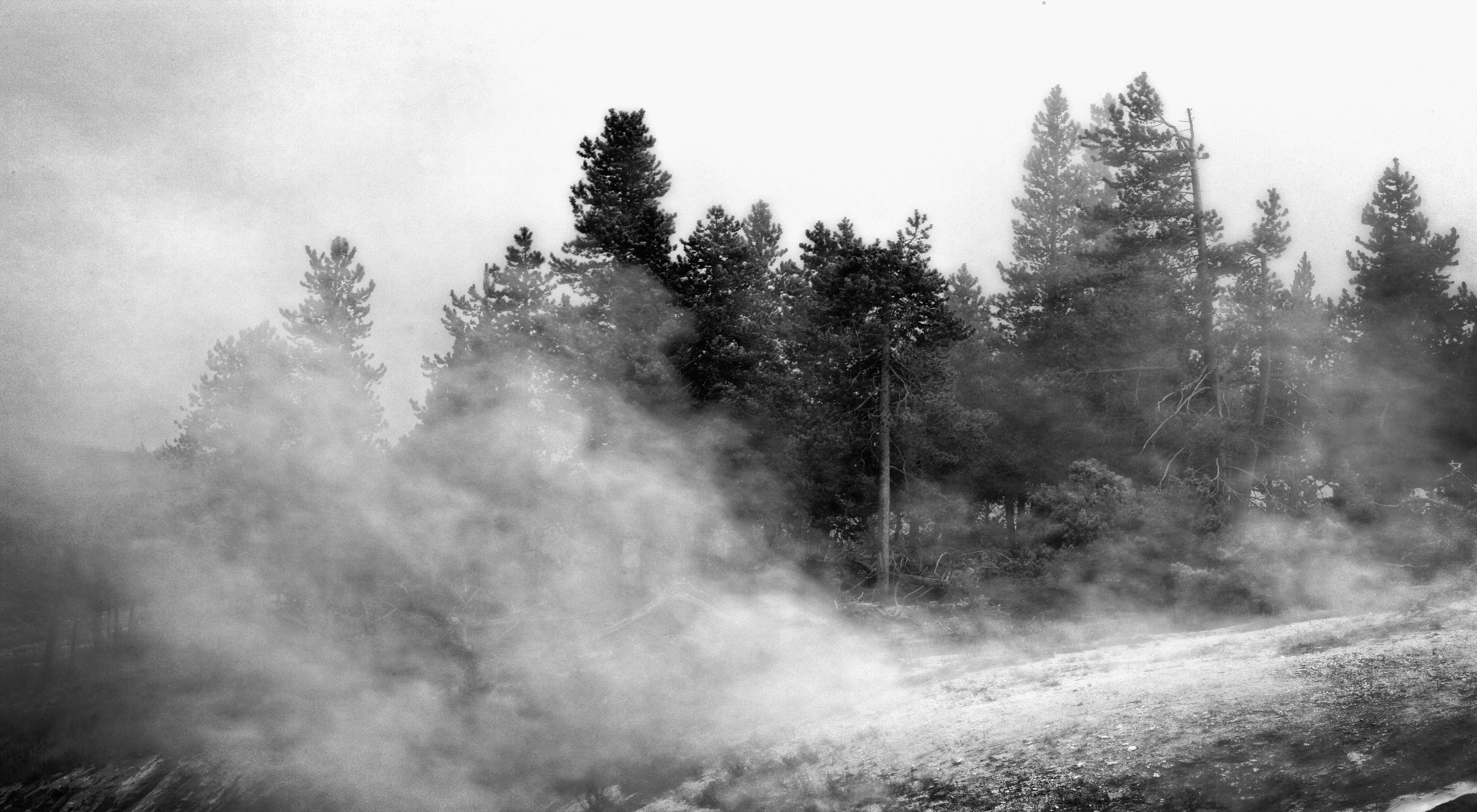 Mornings Soft Breath