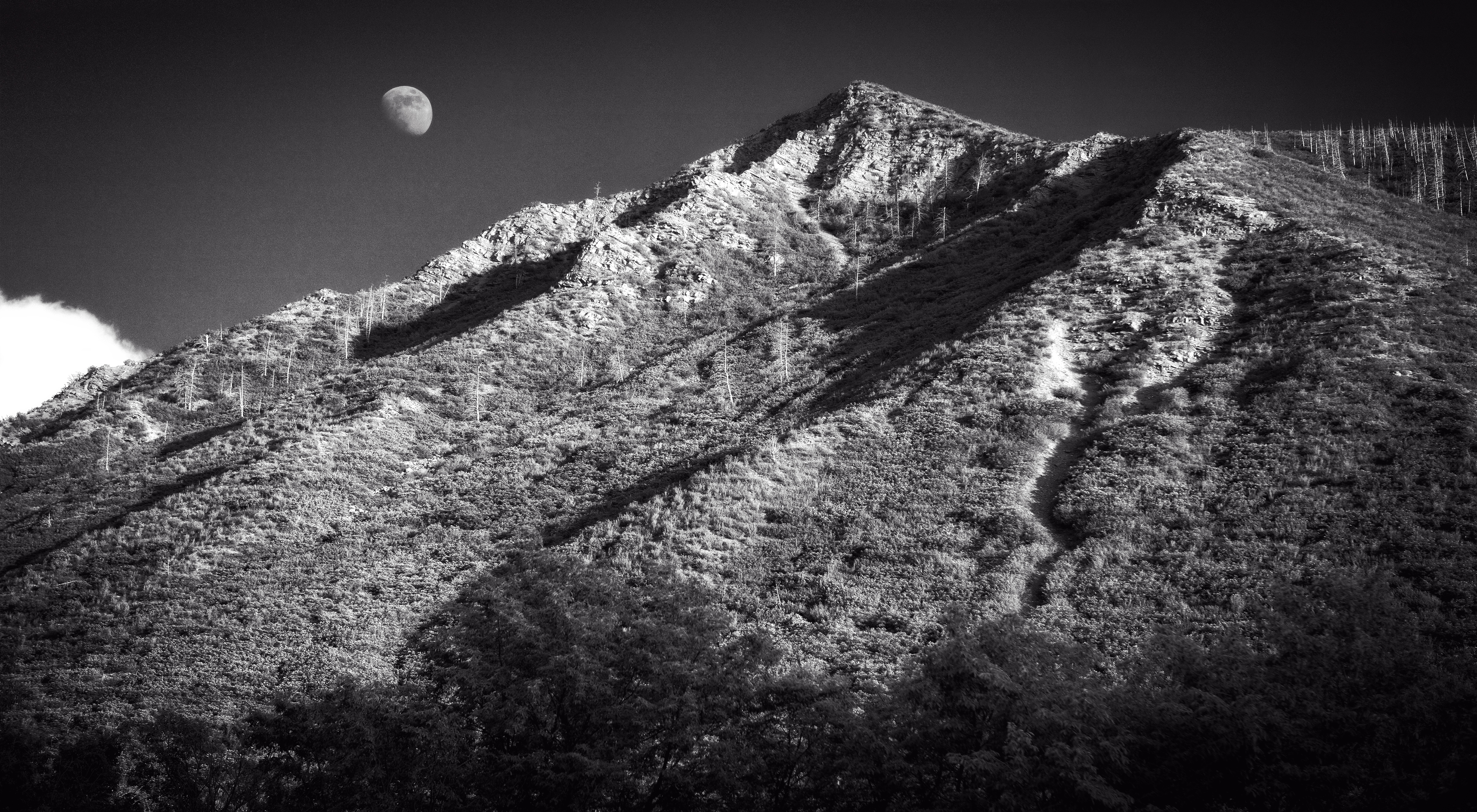 Magic Moon Hour