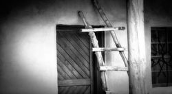 Ladder 5