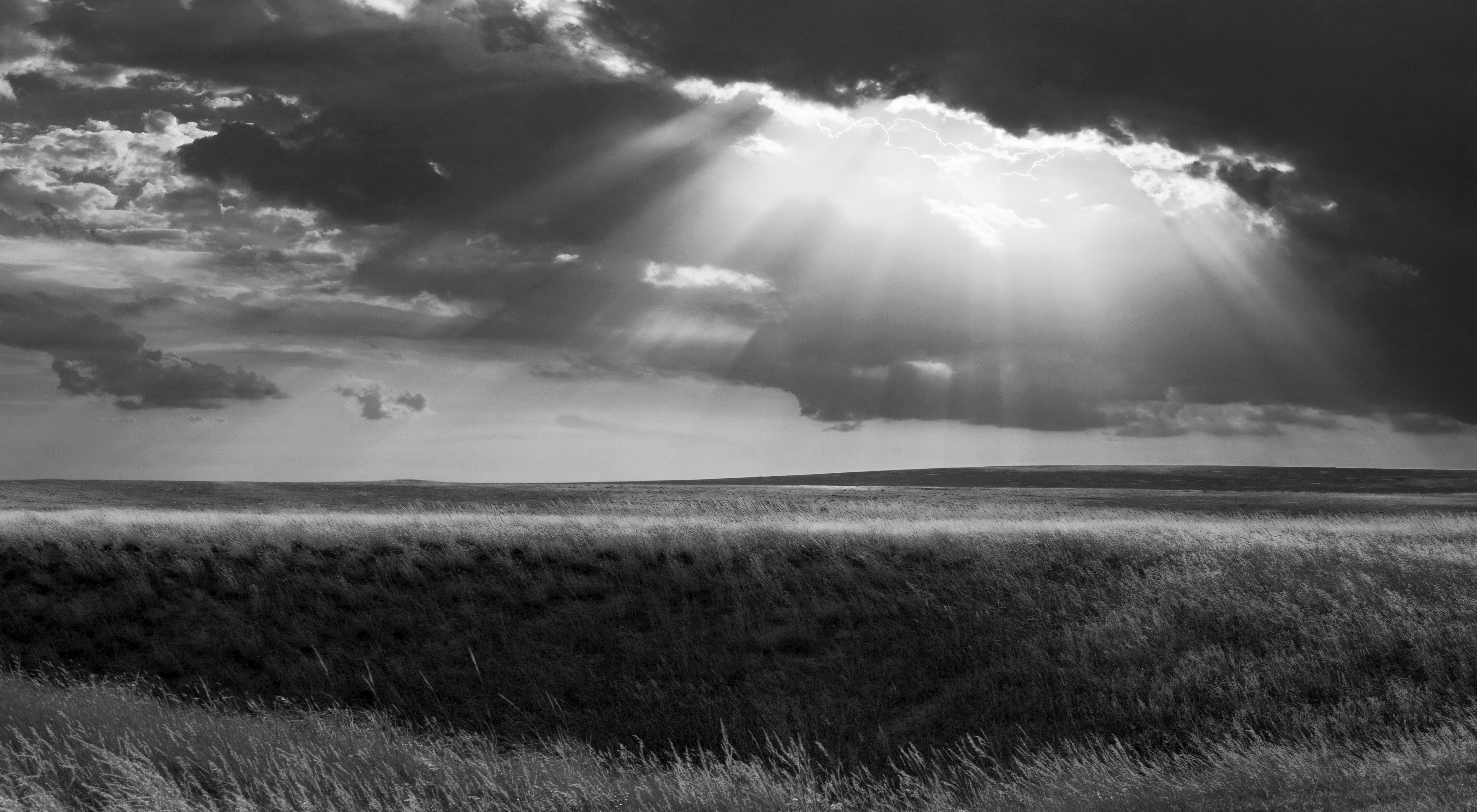 Plain Rays