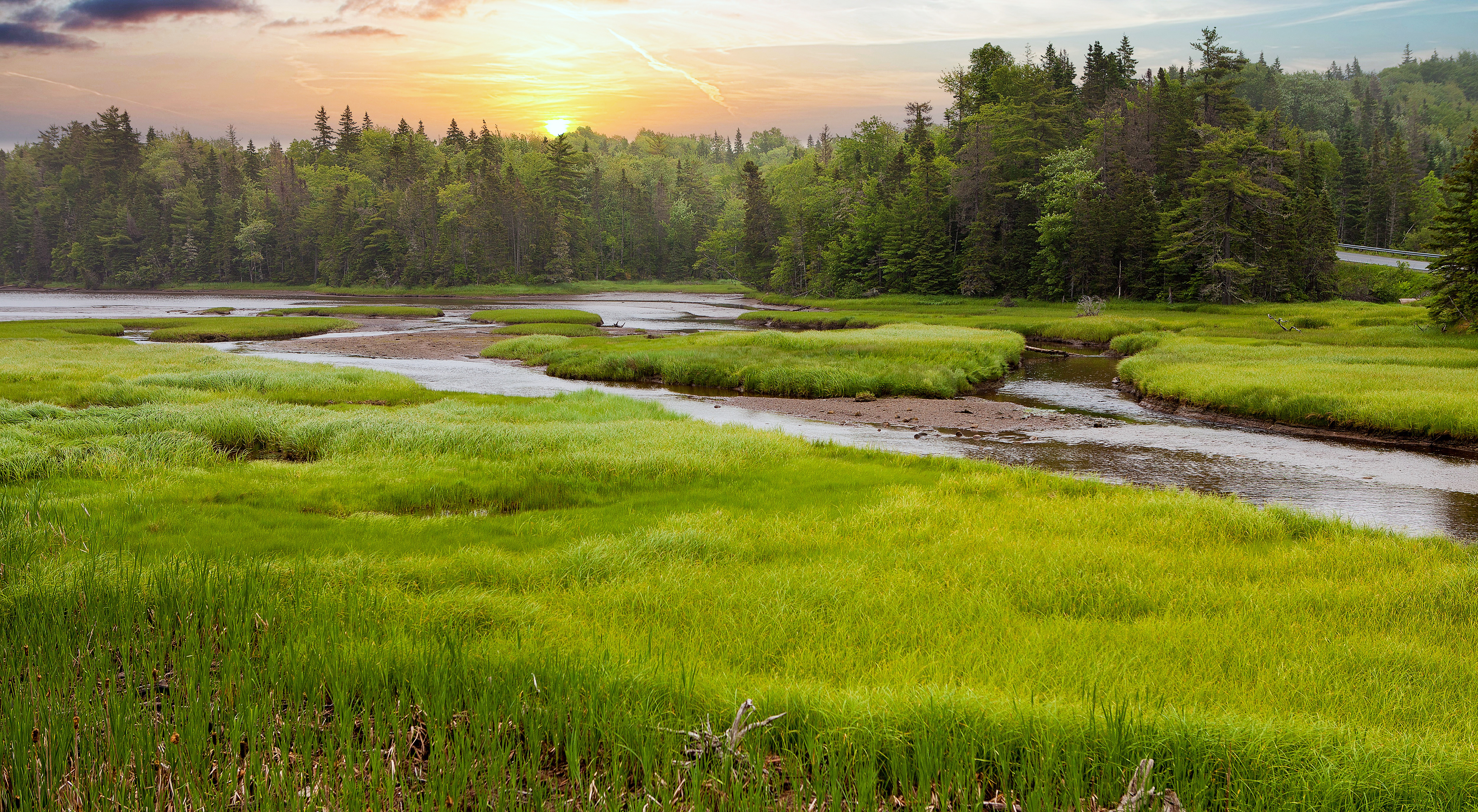 Meandering