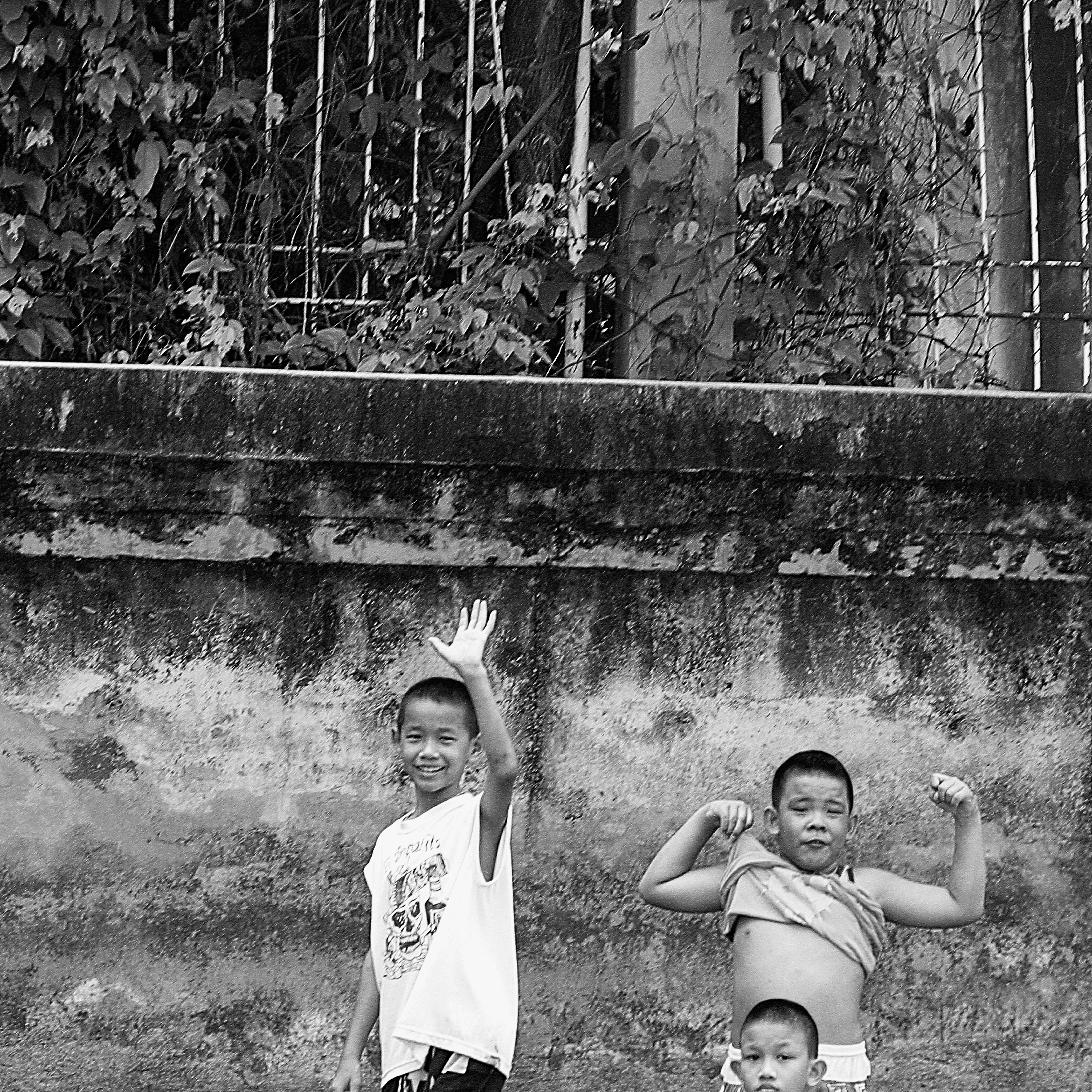 Young Six-Pack