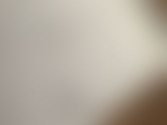 夜メニューが新しくなります。