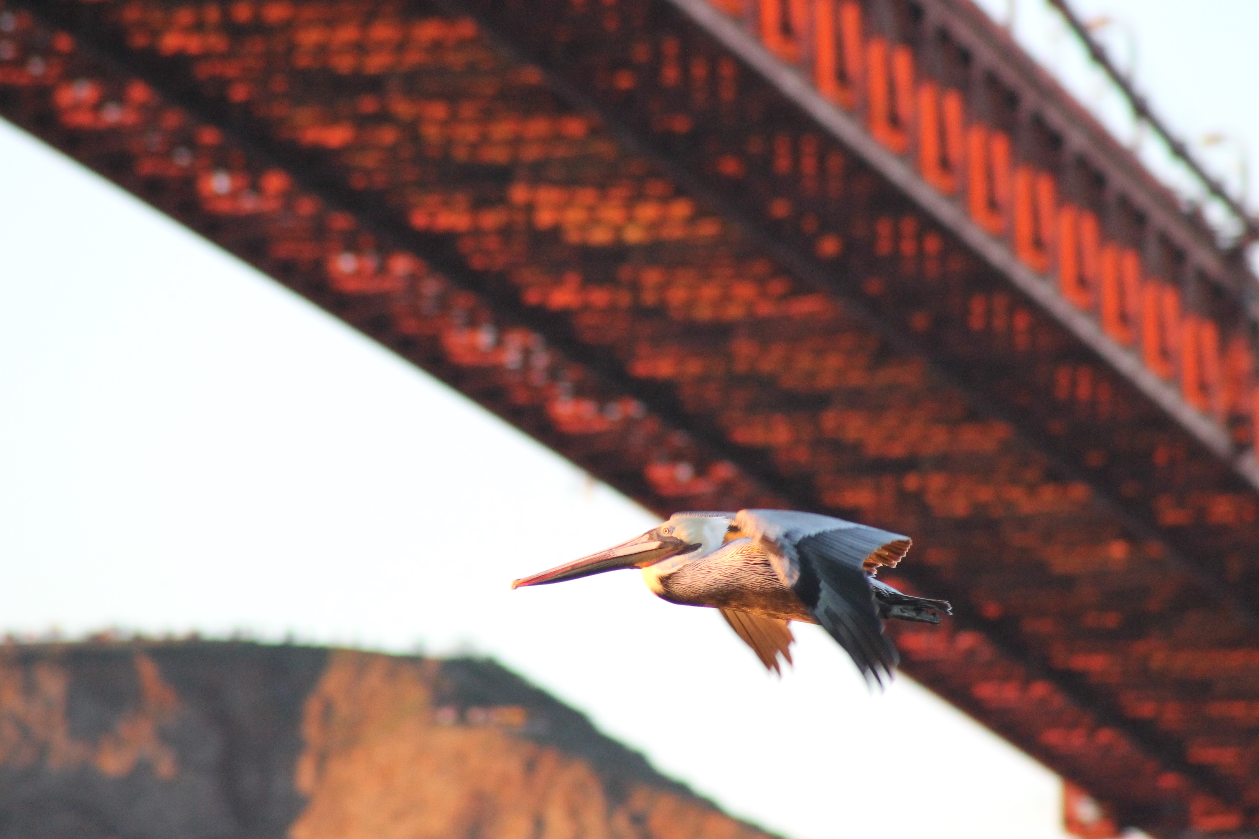 Under the Bridge by Rebecca Johnson