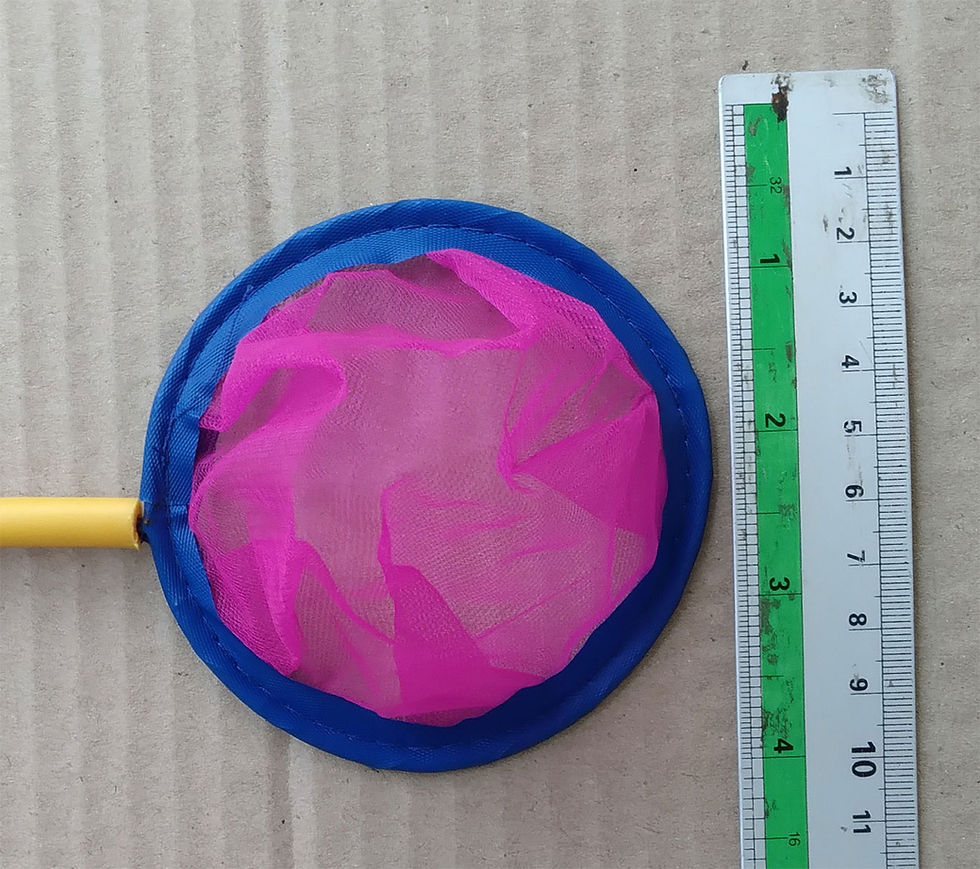 Thumbnail: Fine Net Betta Thai Scoop with ruler showing net size.