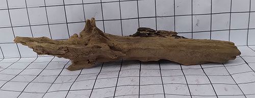 Thumbnail: Thai Bogwood 19: Length 16" x Height 3" x Width 4": Weight 170g (right side view)