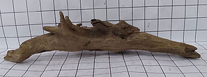 Bettawan Thai Bogwood 18 (back view)