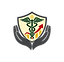 Main (1).png