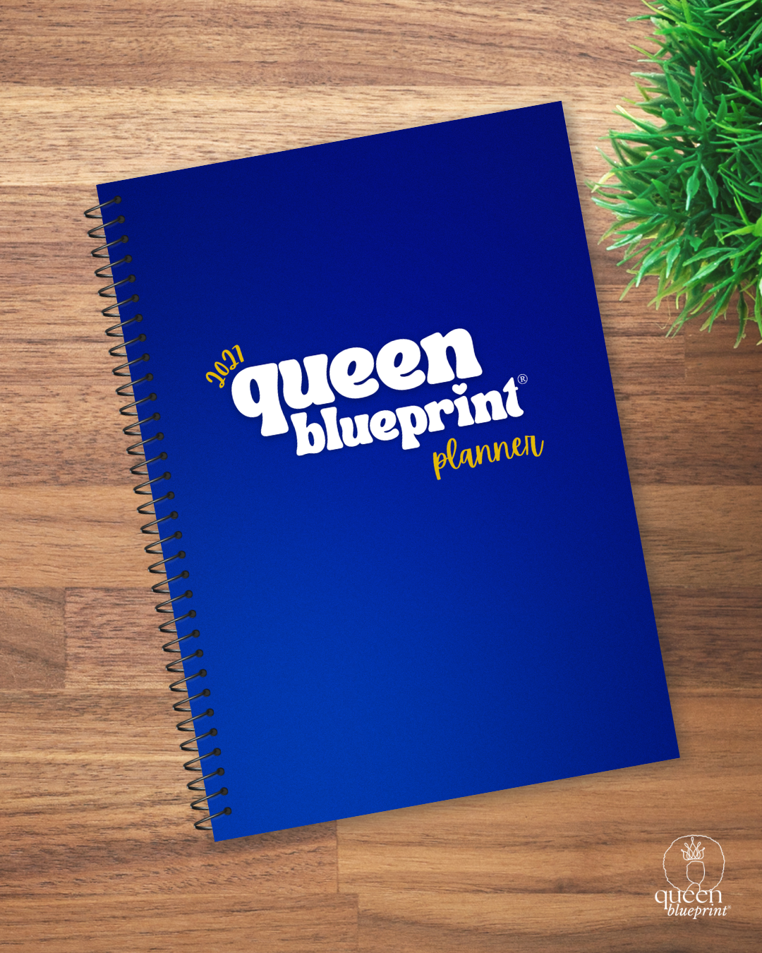 Cycle Breaker Financial Planner (12M)