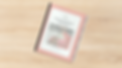 Financial Lab Reports Mock Up (4).png
