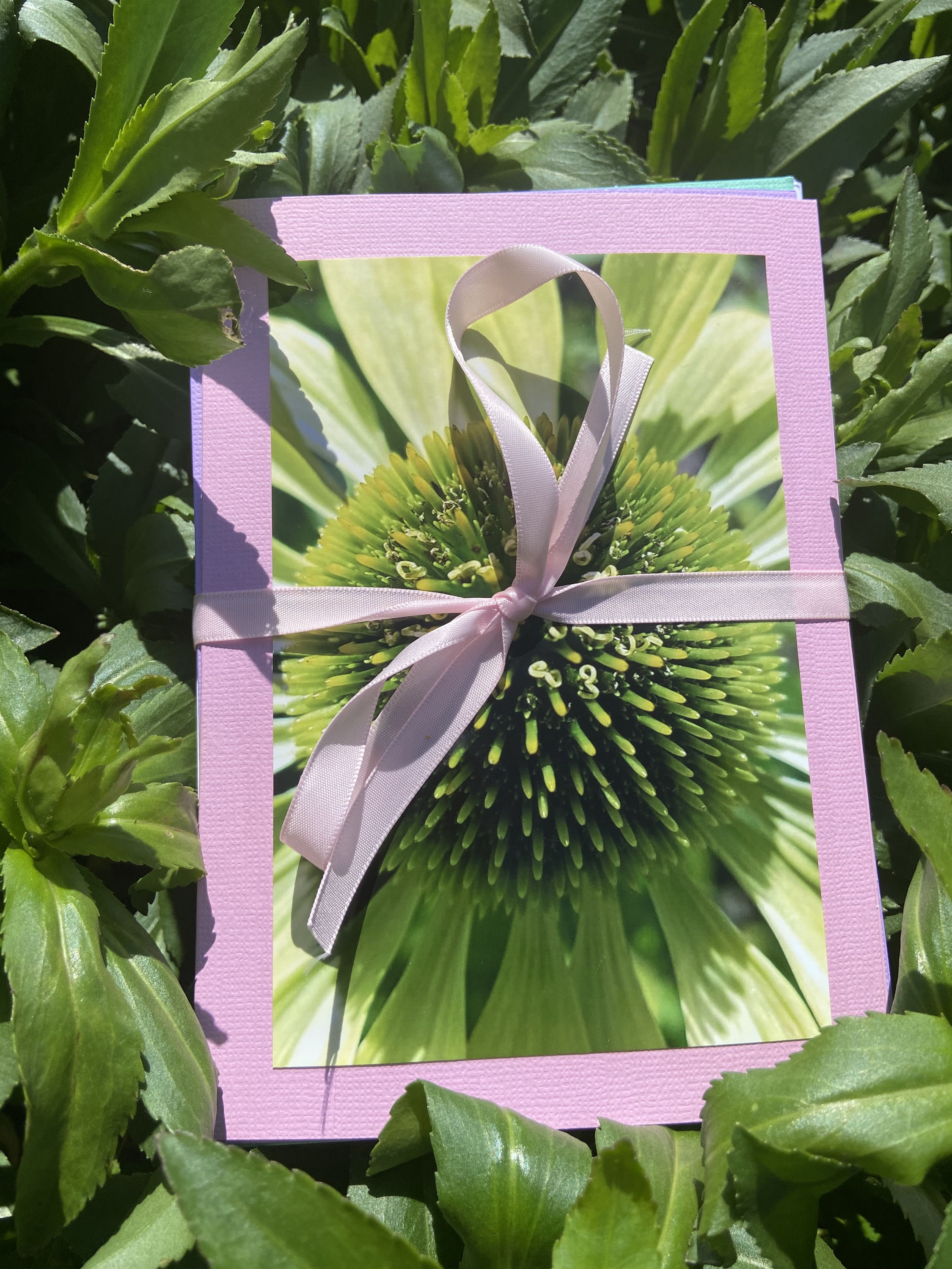 Large Multicolor Cards