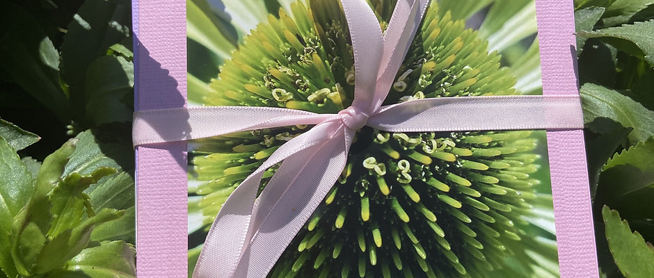 Large Multicolor Cards