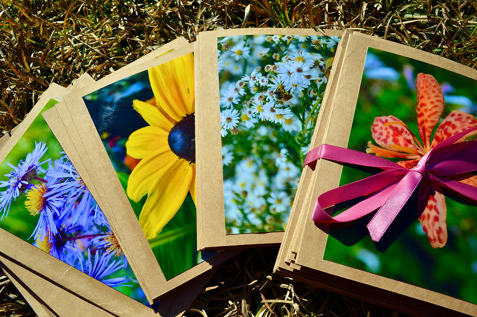 Thumbnail: Large Kraft Cards