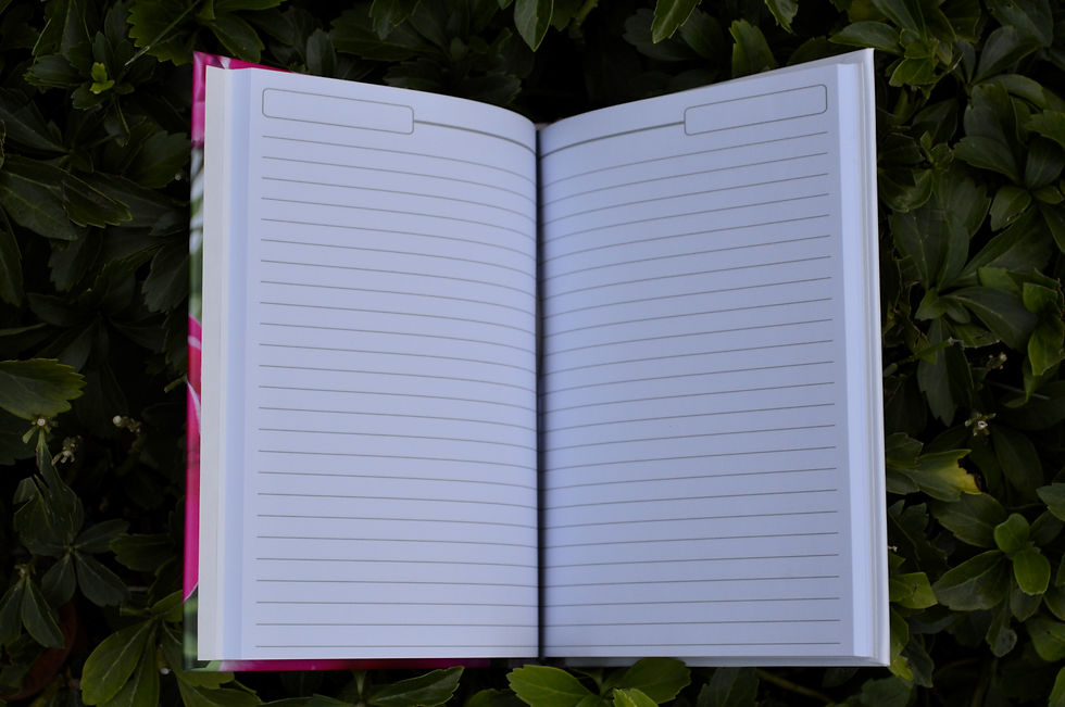 Thumbnail: Journal