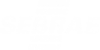 logo sebrae branca
