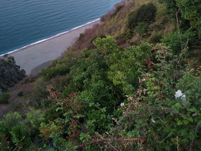 Id quod plerumque accidit - No ai Sindaci Podestà -