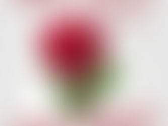 Primo Maggio festa o Lotta?