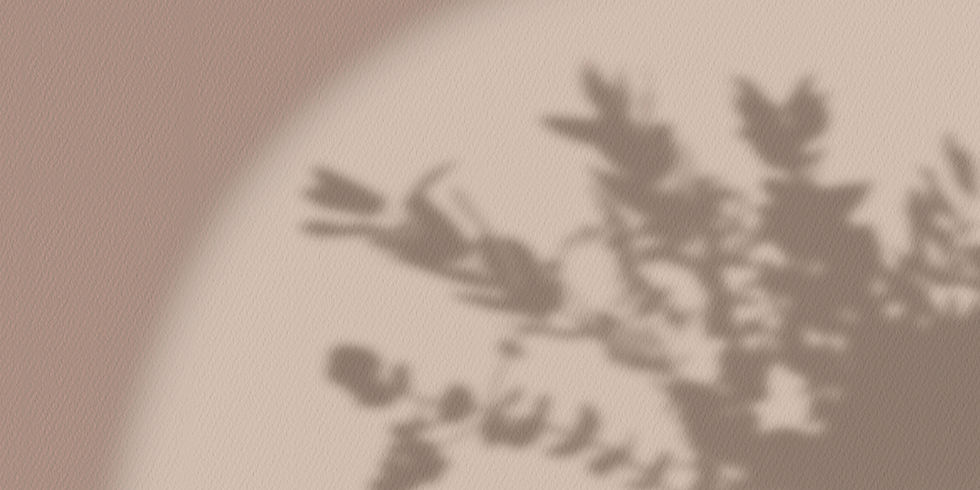 botanical shadow against cream background