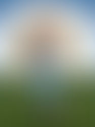 C'è un futuro solo per chi è in sintonia con il passato