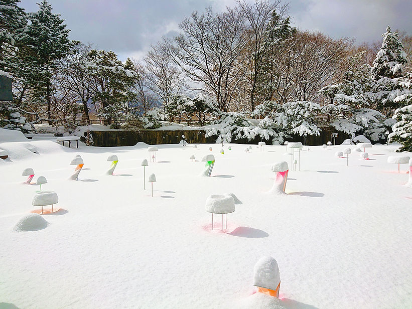 2021 February 27th(7)best1300.jpg