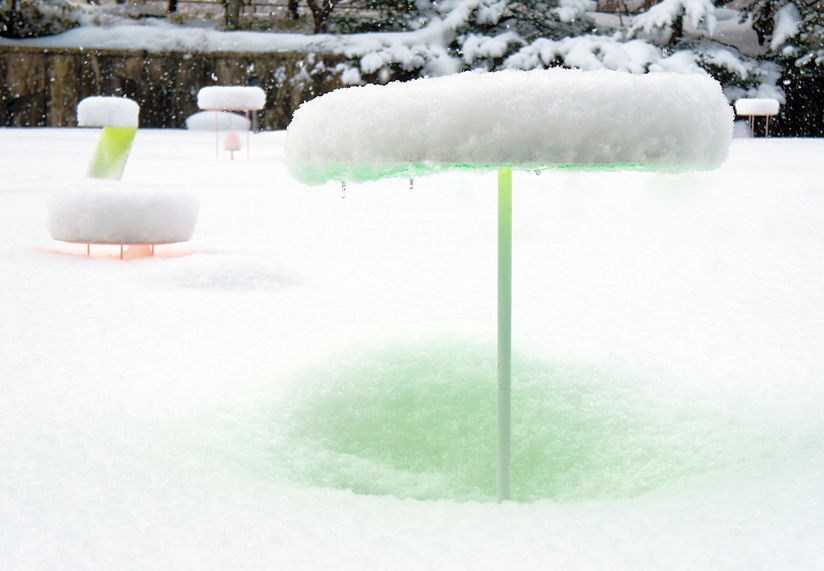 DSC08558 (1月23日) best.jpg