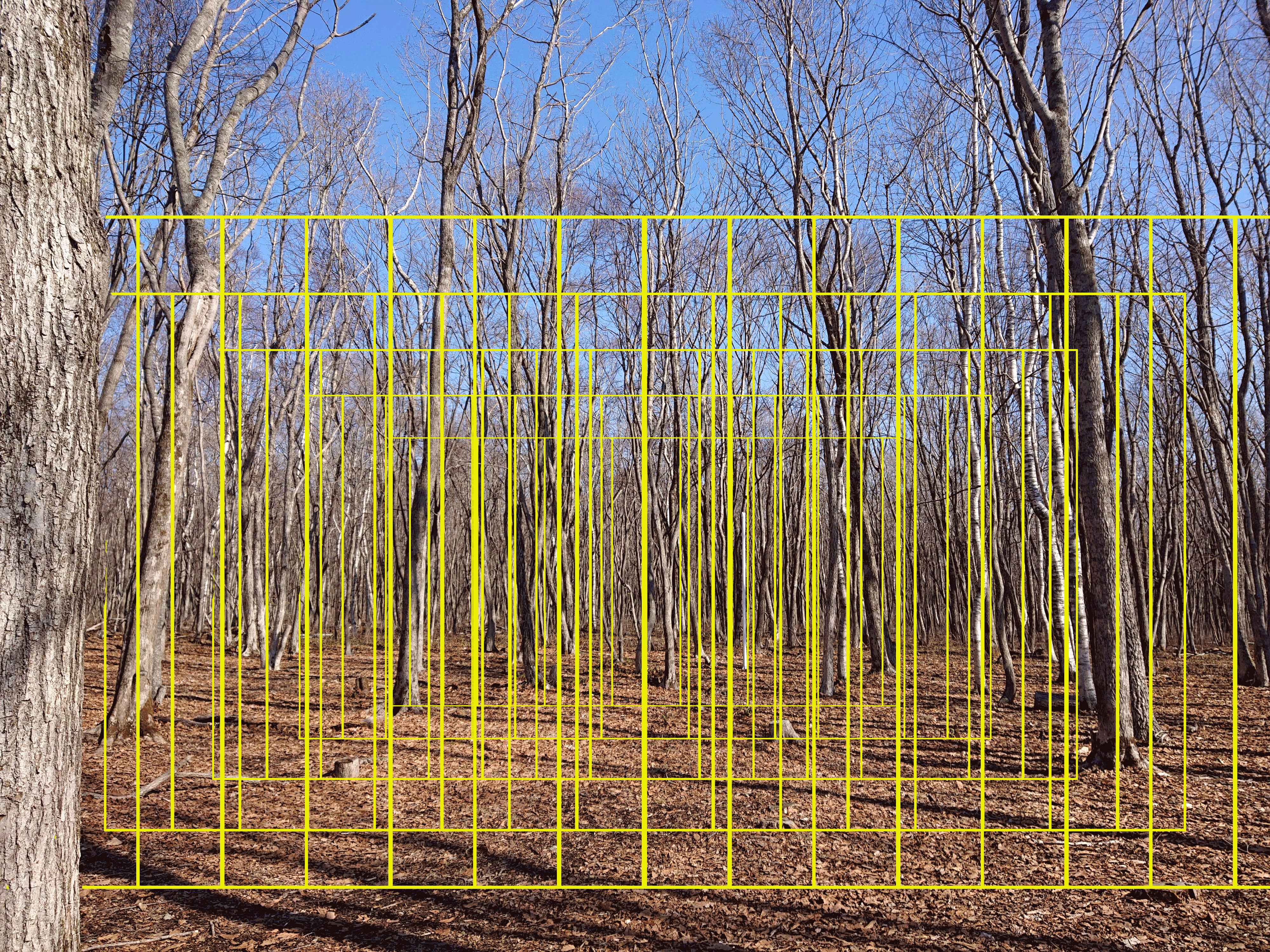 Perspective_Fence.gif