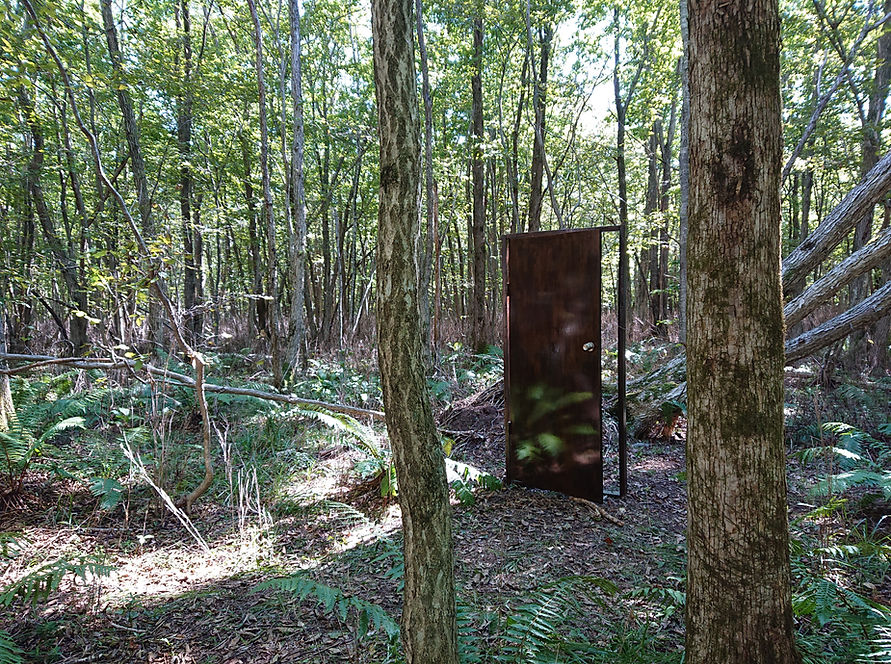 DSC_0579.JPG