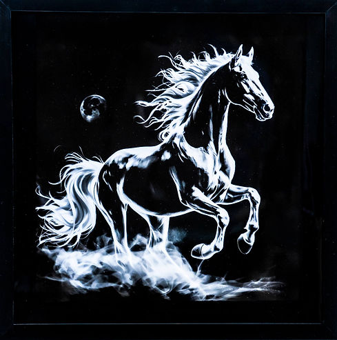 B W horse background.jpg