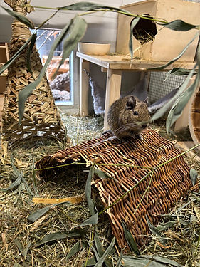 WhatsApp Bild 2025-11-10 um 11.42.56_7d9042fd.jpg