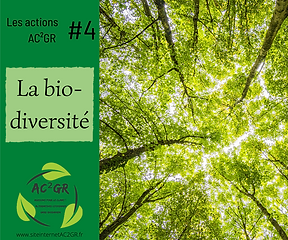 biodiversite.png