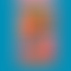 Join Us At The Plus.LA for Chrissie Abbott's 'Momentary Materiality'