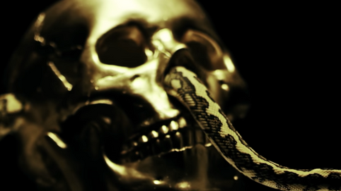 All Gold Everything! Steven Baltay for "Tears of Gold" New Music Video by Faouzia.